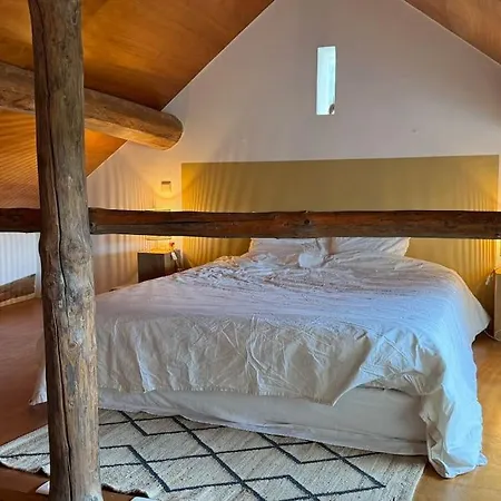 Logement 1 Chambre Et Canape Lit 公寓